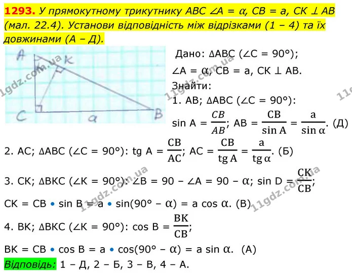 1293. У прямокутному трикутнику АВС ∠А = α, СВ = а, СК ⊥ АВ — ГДЗ Геометрія 8 клас Бевз