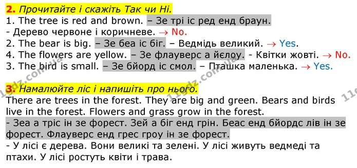 2. Прочитайте і скажіть Так чи Ні. — ГДЗ Англійська мова 2 клас Мітчелл