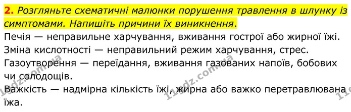 2. Розгляньте схематичні малюнки порушення травлення в шлунку із симптомами. Напишіть причини їх виникнення. — ГДЗ Робочий зошит Біологія 8 клас Кулініч