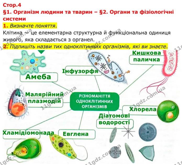 1. Визначте поняття. — ГДЗ Робочий зошит Біологія 8 клас Тагліна (2025)
