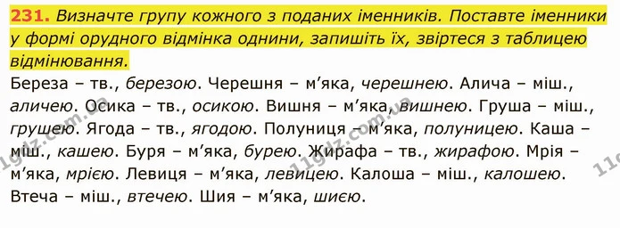 231. Визначте групу кожного з поданих іменників. Поставте іменники у формі орудного відмінка однини, запишіть їх, звіртеся з таблицею — ГДЗ Українська мова 6 клас Глазова
