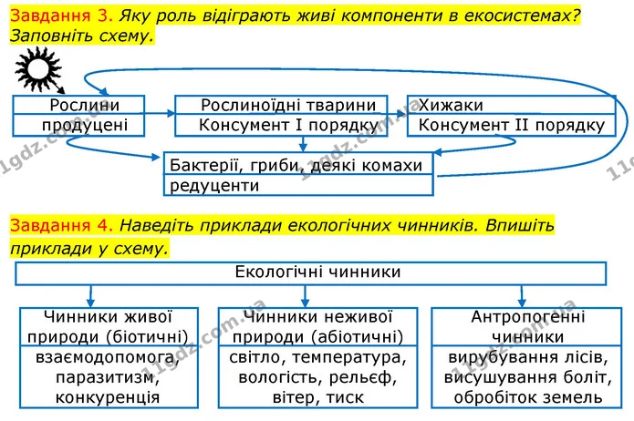 Стор. 96 — 3-4 — ГДЗ Робочий зошит з Біології 7 клас Яременко — ГДЗ Робочий зошит з Біології 7 клас Яременко