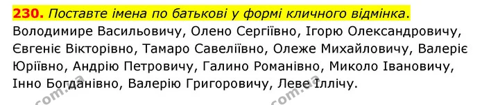 230. Поставте імена по батькові у формі кличного відмінка. — ГДЗ Українська мова 6 клас Голуб 2023