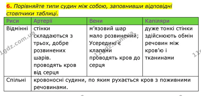 6. Порівняйте типи судин між собою, заповнивши відповідні стовпчики таблиці. — ГДЗ Робочий зошит Біологія 8 клас Задорожний
