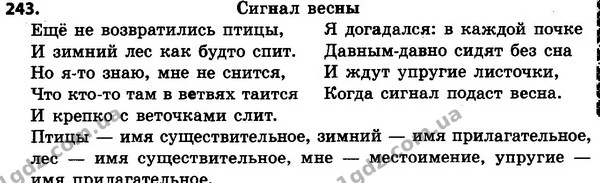 243 — ГДЗ Русский язык 4 класс Сильнова, Каневская 2015