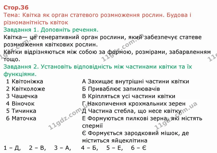Стор. 36 — 1-2 — ГДЗ Робочий зошит Біологія 6 клас Мечник — ГДЗ Робочий зошит Біологія 6 клас Мечник