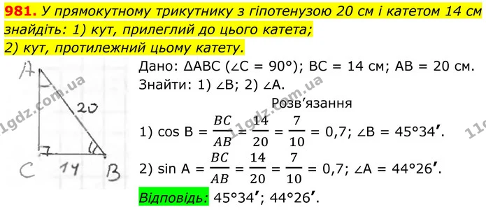 981. У прямокутному трикутнику з гіпотенузою 20 см і катетом 14 см знайдіть: 1) кут, прилеглий до цього катета; 2) кут, протилежний — ГДЗ Геометрія 8 клас Бурда