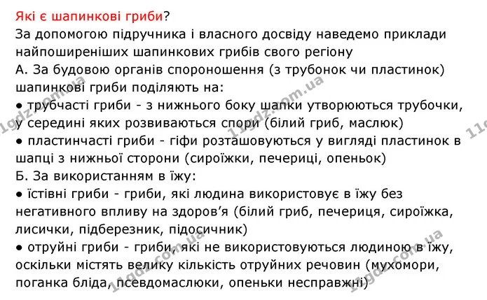 Стор. 91 — 3 — ГДЗ Робочий зошит Біологія 6 клас Соболь — ГДЗ Робочий зошит Біологія 6 клас Соболь