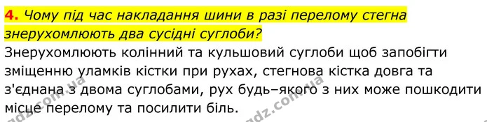 4. Чому під час накладання шини в разі перелому стегна знерухомлюють два сусідні суглоби? — ГДЗ Біологія 8 клас Балан