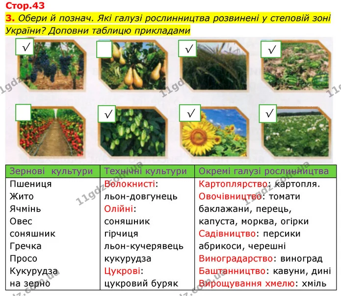 3. Обери й познач. Які галузі рослинництва розвинені у степовій зоні України? Доповни таблицю прикладами — ГДЗ Робочий зошит Я досліджую світ 4 клас Грущинська