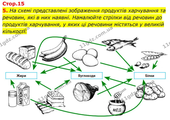 5. На схемі представлені зображення продуктів харчування та речовин, які в них наявні. Намалюйте стрілки від речовин до продуктів — ГДЗ Робочий зошит Біологія 8 клас Задорожний