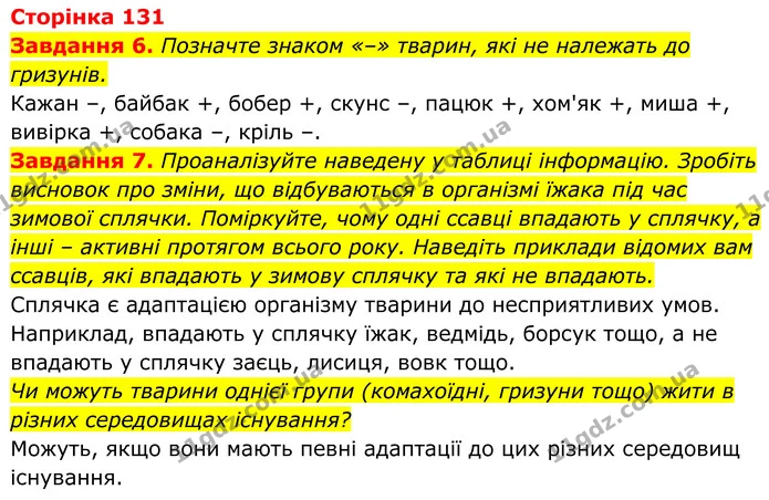 6. Позначте знаком «–» тварин, які не належать до гризунів. — ГДЗ Робочий зошит Біологія 7 клас Мирна 2024