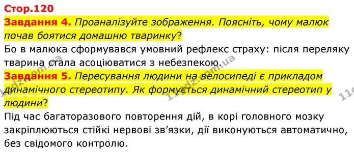 Стор. 120 — 4-5 — ГДЗ Робочий зошит біологія 8 клас Мирна — ГДЗ Робочий зошит біологія 8 клас Мирна