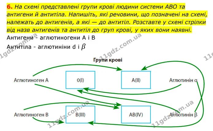6. На схемі представлені групи крові людини системи АВО та антигени й антитіла. Напишіть, які речовини, що позначені на схемі, належать — ГДЗ Робочий зошит Біологія 8 клас Задорожний
