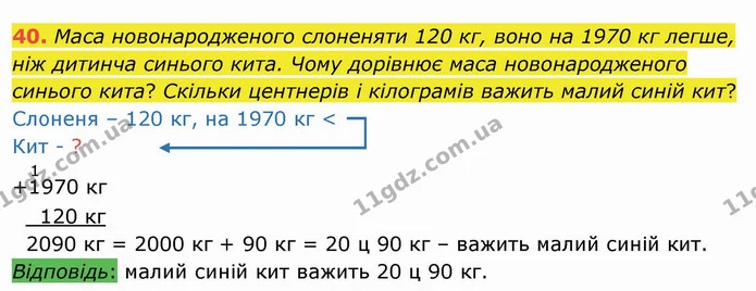 40. Маса новонародженого слоненяти 120 кг, воно на 1970 кг легше, ніж дитинча синього кита. Чому дорівнює маса новонародженого синього — ГДЗ Математика 4 клас Заїка