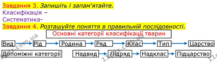 Стор. 11 — 3-4 — ГДЗ Робочий зошит з Біології 7 клас Яременко — ГДЗ Робочий зошит з Біології 7 клас Яременко