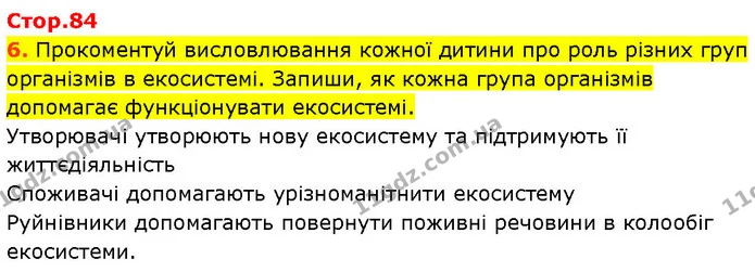 Стор. 84 — 6 — ГДЗ Робочий зошит Пізнаємо природу 6 клас Коршевнюк — ГДЗ Робочий зошит Пізнаємо природу 6 клас Коршевнюк