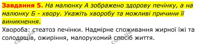 Стор. 64 — 5 — ГДЗ Робочий зошит біологія 8 клас Мирна — ГДЗ Робочий зошит біологія 8 клас Мирна
