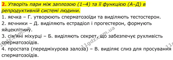 Стор. 295 — Стр.295-(3.2) — ГДЗ Біологія 8 клас Балан — ГДЗ Біологія 8 клас Балан