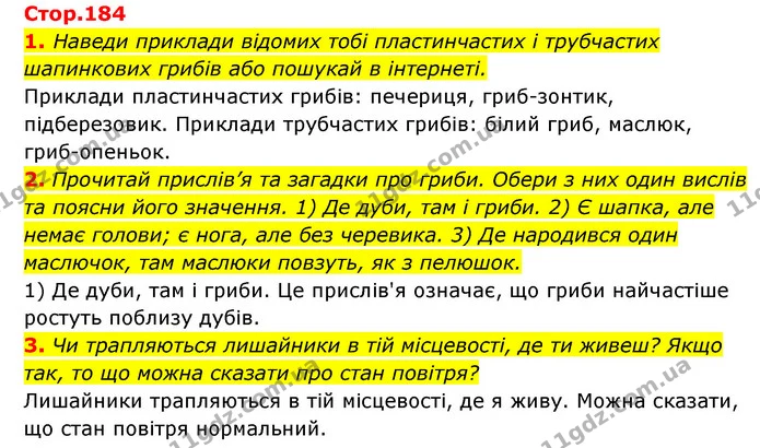 1. Наведи приклади відомих тобі пластинчастих і трубчастих шапинкових грибів або пошукай в інтернеті. — ГДЗ Пізнаємо природу 5 клас Біда