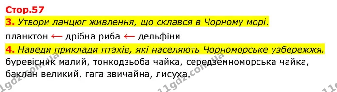 3. Утвори ланцюг живлення, що склався в Чорному морі. — ГДЗ Робочий зошит Я досліджую світ 4 клас Гільберг