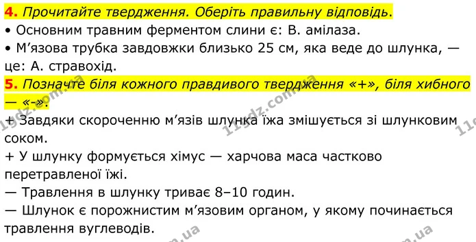 1. Позначте й підпишіть ті компоненти травної системи, які ви знаєте. — частина 4 — ГДЗ Робочий зошит Біологія 8 клас Тагліна (2025)