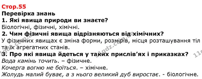 Стор. 55 — 1-3 — ГДЗ Природознавство 5 клас Ярошенко — ГДЗ Природознавство 5 клас Ярошенко