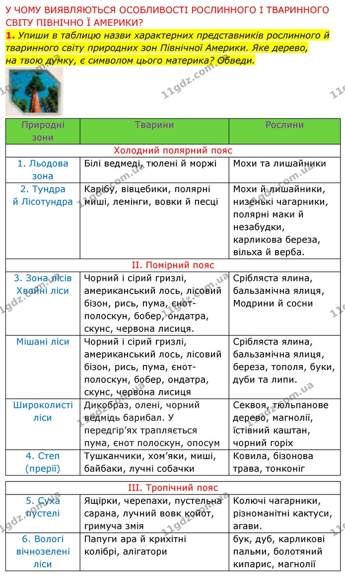 1. Упиши в таблицю назви характерних представників рослинного й тваринного світу природних зон Північної Америки. Яке дерево, — ГДЗ Робочий зошит Я досліджую світ 4 клас Грущинська