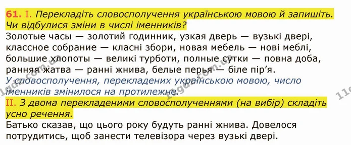 61. І. Перекладіть словосполучення українською мовою й запишіть. Чи відбулися зміни в числі іменників? — ГДЗ Українська мова 6 клас Заболотний 2019
