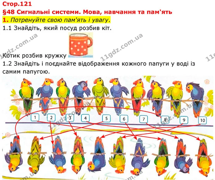 1. Потренуйте свою пам'ять і увагу. — ГДЗ Робочий зошит Біологія 8 клас Тагліна (2025)