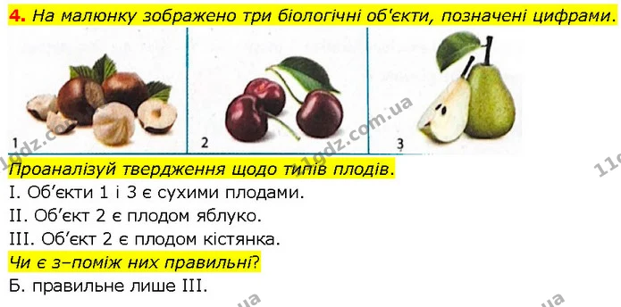 4. На малюнку зображено три біологічні об'єкти, позначені цифрами. — ГДЗ робочий зошит Біологія 7 клас Тагліна