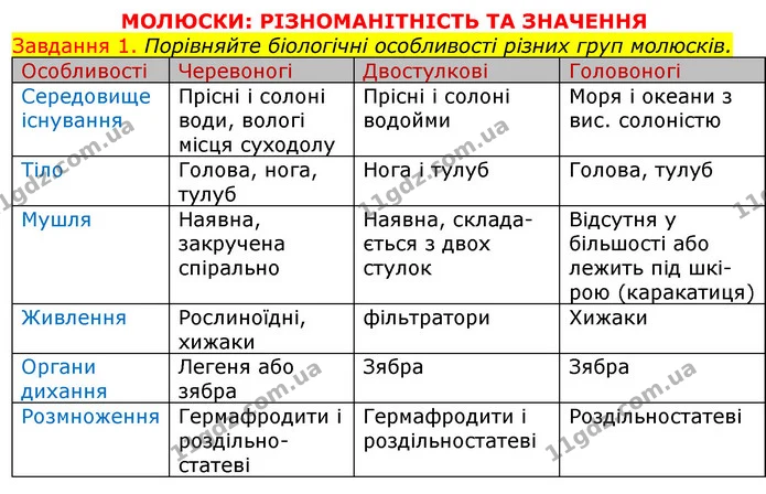 Стор. 34 — 1 (2) — ГДЗ Робочий зошит з Біології 7 клас Яременко — ГДЗ Робочий зошит з Біології 7 клас Яременко