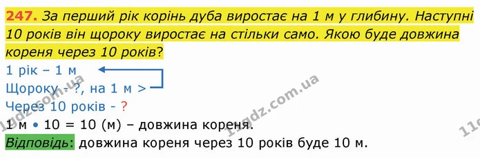 247. За перший рік корінь дуба виростає на 1 м у глибину. Наступні 10 років він щороку виростає на стільки само. Якою буде довжина — ГДЗ Математика 4 клас Лишенко 1-2 ч.