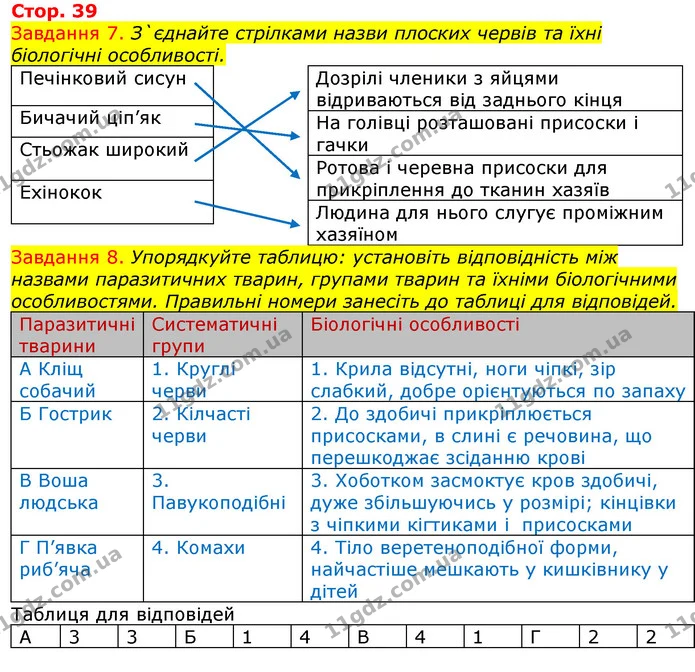 Стор. 39 — 7-8 — ГДЗ Робочий зошит з Біології 7 клас Яременко — ГДЗ Робочий зошит з Біології 7 клас Яременко