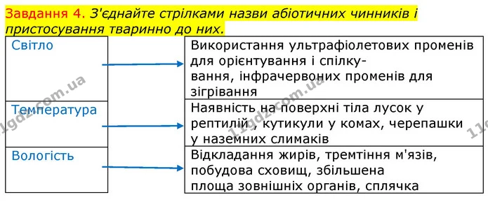 Стор. 97 — 4 — ГДЗ Робочий зошит з Біології 7 клас Яременко — ГДЗ Робочий зошит з Біології 7 клас Яременко