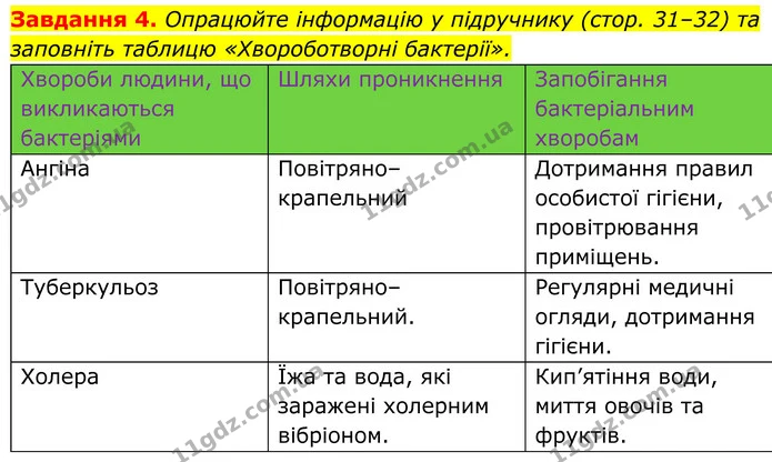 4. Опрацюйте інформацію у підручнику (стор. 31–32) та заповніть таблицю «Хвороботворні бактерії». — ГДЗ Робочий зошит Біологія 7 клас Мирна 2024