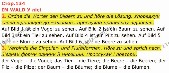 2. Ordne die Wörter den Bildern zu und höre die Lösung. Упорядкуй слова відповідно до малюнків і прослухай правильну відповідь. — ГДЗ Німецька мова 5 клас Сотникова (1 рік)