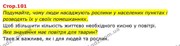 Подумайте, чому люди насаджують рослини у населених пунктах і розводять їх у своїх помешканнях. — ГДЗ Я досліджую світ 3 клас Гільберг 1-2 ч.