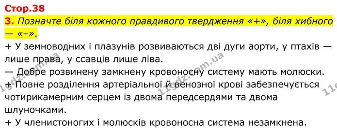 1. На малюнку зображено чотири біологічні об'єкти, позначені цифрами. — частина 3 — ГДЗ Робочий зошит Біологія 8 клас Тагліна (2025)