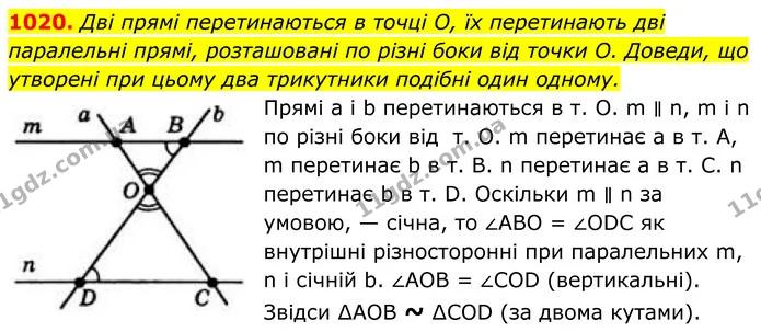 1020. Дві прямі перетинаються в точці О, їх перетинають дві паралельні прямі, розташовані по різні боки від точки О. Доведи, що — ГДЗ Геометрія 8 клас Бевз