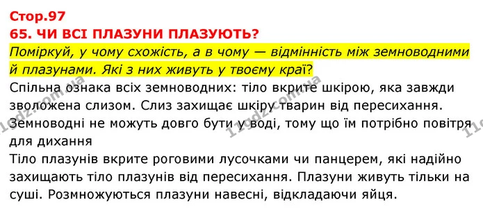 Стор. 97 — 1 — ГДЗ Я досліджую світ 3 клас Грущинська (1 частина) — ГДЗ Я досліджую світ 3 клас Грущинська (1 частина)