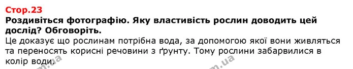 Роздивись ілюстрації. Які витвори народних майстрів тобі сподобалися найбільше? — Решебник Я досліджую світ 1 клас Грущинська
