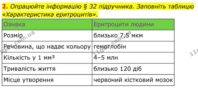 2. Опрацюйте інформацію § 32 підручника. Заповніть таблицю «Характеристика еритроцитів». — ГДЗ Робочий зошит Біологія 8 клас Кулініч