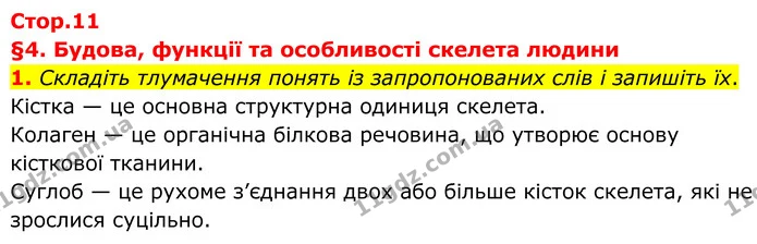 1. Складіть тлумачення понять із запропонованих слів і запишіть їх. — ГДЗ Робочий зошит Біологія 8 клас Тагліна (2025)