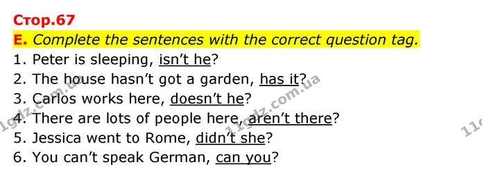 E. Complete the sentences with the correct question tag. — ГДЗ Робочий зошит Англійська мова 6 клас Мітчелл