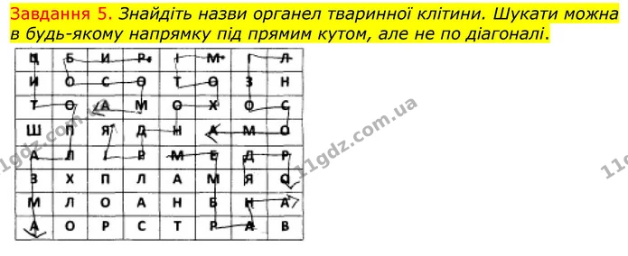 Стор. 6 — 5 — ГДЗ Робочий зошит з Біології 7 клас Яременко — ГДЗ Робочий зошит з Біології 7 клас Яременко