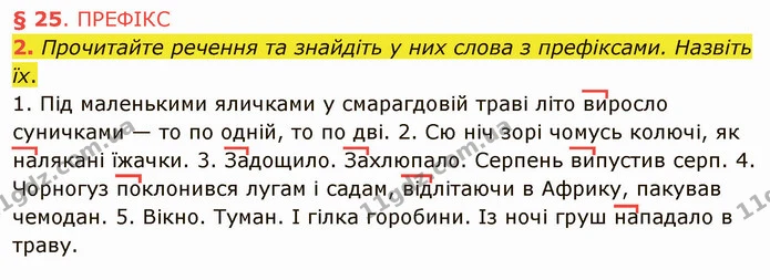2. Прочитайте речення та знайдіть у них слова з префіксами. Назвіть їх. — ГДЗ Українська мова 5 клас Авраменко 2022