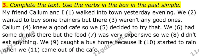 3. Complete the text. Use the verbs in the box in the past simple. — ГДЗ Англійська мова 8 клас Стайрінг (Prepare)