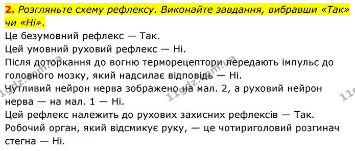 2. Розгляньте схему рефлексу. Виконайте завдання, вибравши «Так» чи «Ні». — ГДЗ Робочий зошит Біологія 8 клас Кулініч