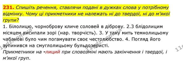 231. Спишіть речення, ставлячи подані в дужках слова у потрібному відмінку. Чому ці прикметники не належать ні до твердої, ні до м’якої — ГДЗ Українська мова 6 клас Ворон, Солопенко